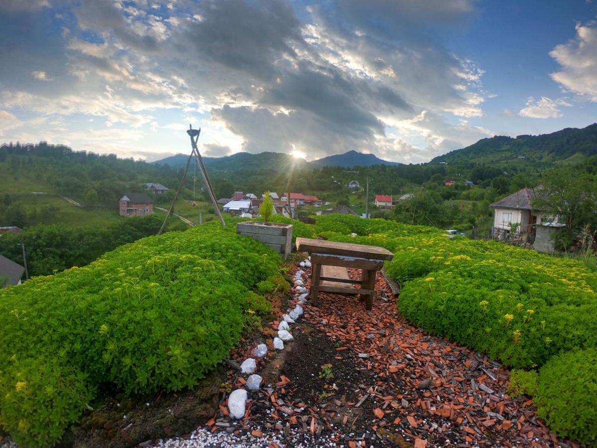 Popasul Verde ซินจอร์ซ-เบย ภายนอก รูปภาพ