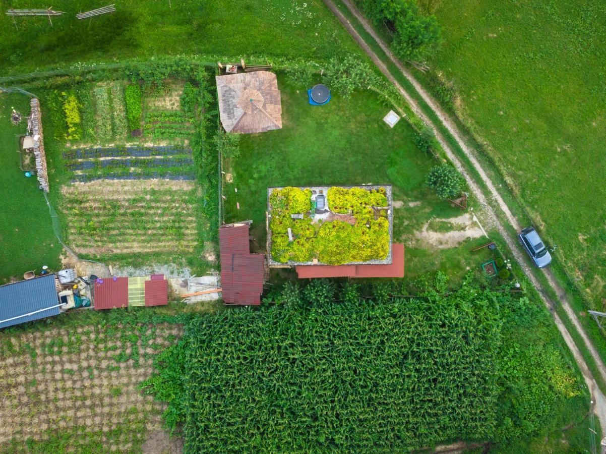 Popasul Verde ซินจอร์ซ-เบย ภายนอก รูปภาพ